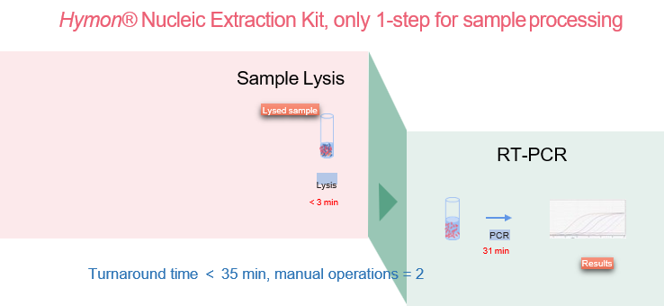 One-Step Extraction